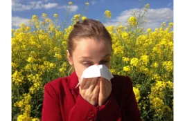 PANČEVO: Detektovane visoke koncentracije polena tise i čempresa