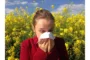 PANČEVO: U vazduhu detektovane srednje koncentracije polena koprive