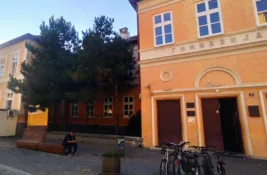 Pančevo: Štrajk u Gimnaziji „Uroš Predić“, skraćeni časovi
