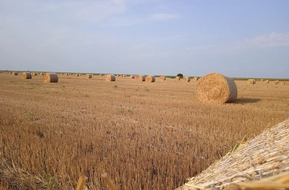 Inspekcija na više od 1.700 poljoprivrednih parcela utvrdila nepravilnosti