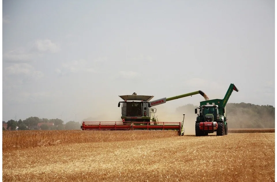Tanasković: U ovoj godini veća kontrola poljoprivrednog tržišta i subvencija