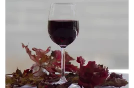U Srbiji se godišnje proizvede 30 miliona litara vina, moglo bi mnogo više