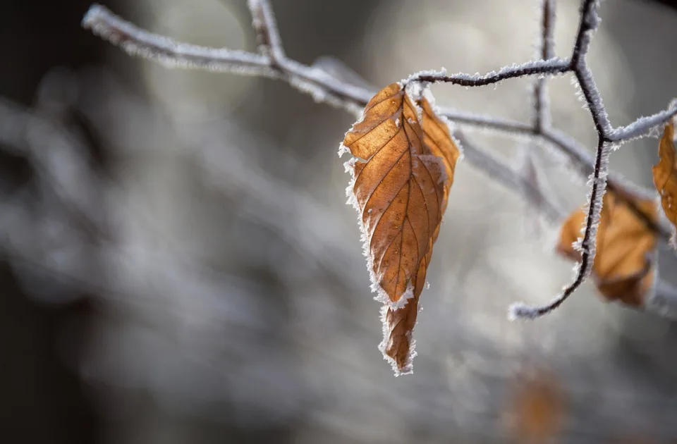 U ponedeljak ujutro oko nule, tokom dana do 10 stepeni