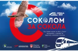 Sokolom za sokola – Srbijavoz pokreće kampanju za zaštitu stepskog sokola