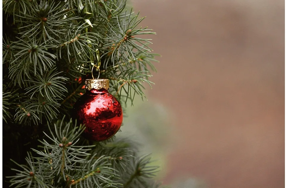 Neradni i radni dani: Ne praznuje se 8. januar jer se Božić ne „prenosi“