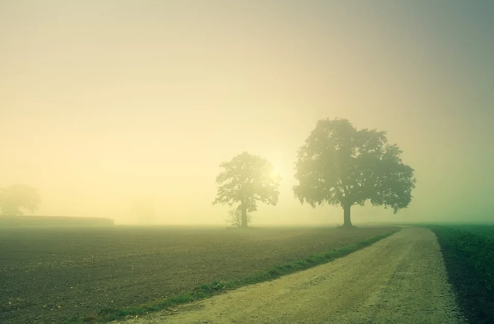 Maglovito nedeljno jutro, u Vojvodini narandžasti meteoalarm