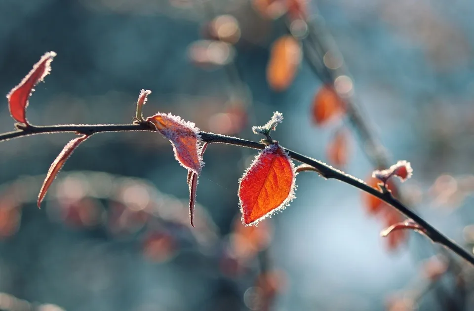 Danas toplije, temperatura i do 9 stepeni