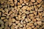 U Srbiji prošle godine posečeno 3,3 miliona kubika drva, najviše za grejanje