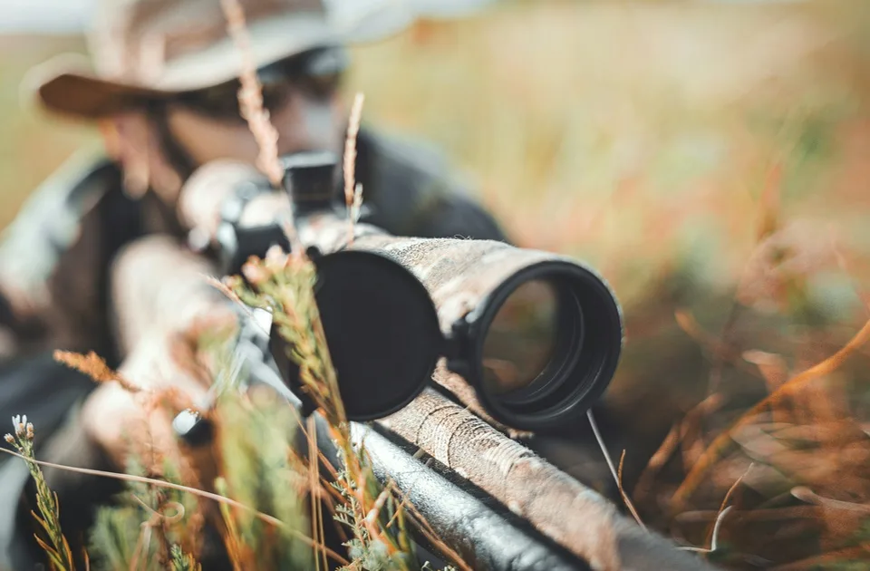 Ako odstrelite zaštićenu divljač, lov može da vas košta do 150.000 dinara