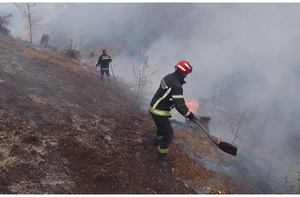 Požar iz Severne Makedonije proširio se do Bujanovca gde su angažovani i vatrogasci iz Pančeva, MUP šalje helikoptere