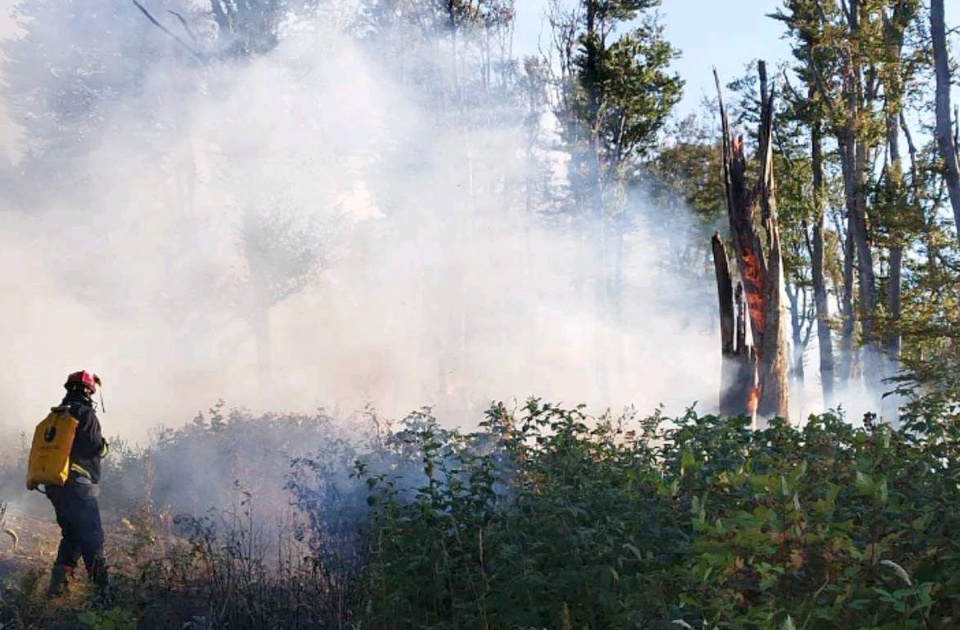 MUP: U poslednja 24 sata evidentirano 135 požara