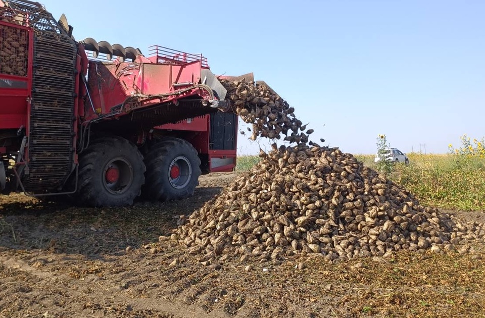 Više šljiva, jabuka i šećerne repe, manje kukuruza i pšenice ove godine