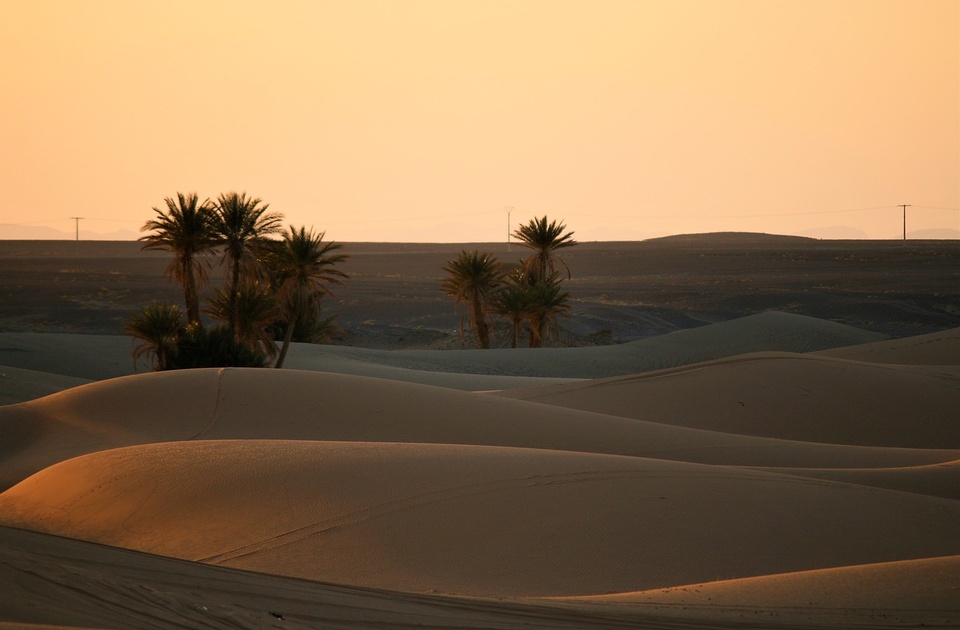 Meteorolog objašnjava zašto je Sahara ozelenela