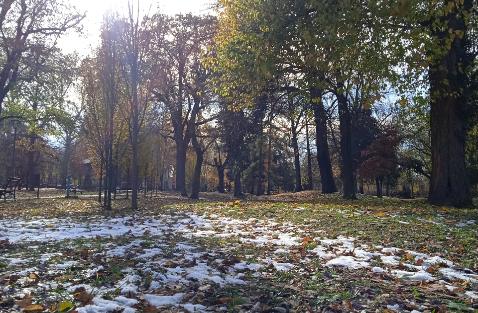 Ujutru slab i umeren mraz i lokalna pojava magle, tokom dana pretežno sunčano i toplije