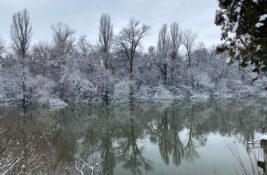 U nedelju bez padavina i hladno, u Banatu povremeno jak vetar