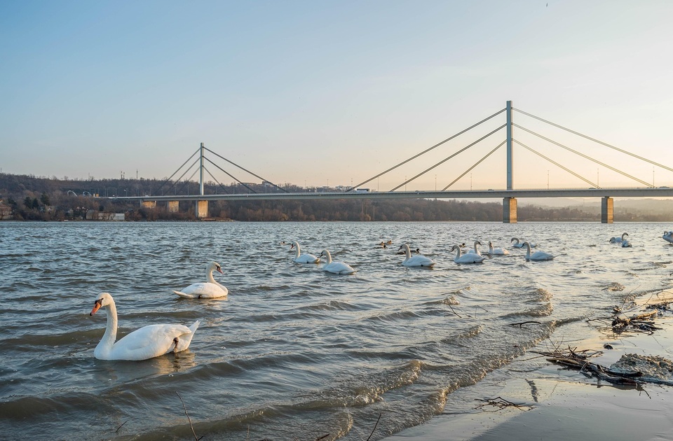 NOVI SAD: Plan za drugi dan blokade Mosta slobode