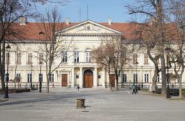 Narodni muzej Pančevo: Predavanje „Ženidba Mihajla Idvorskog Pupina” 17. novembra