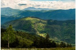 Knez Miloš poslao je u Sokobanju pacijenta sa prvim srpskim vaučerom