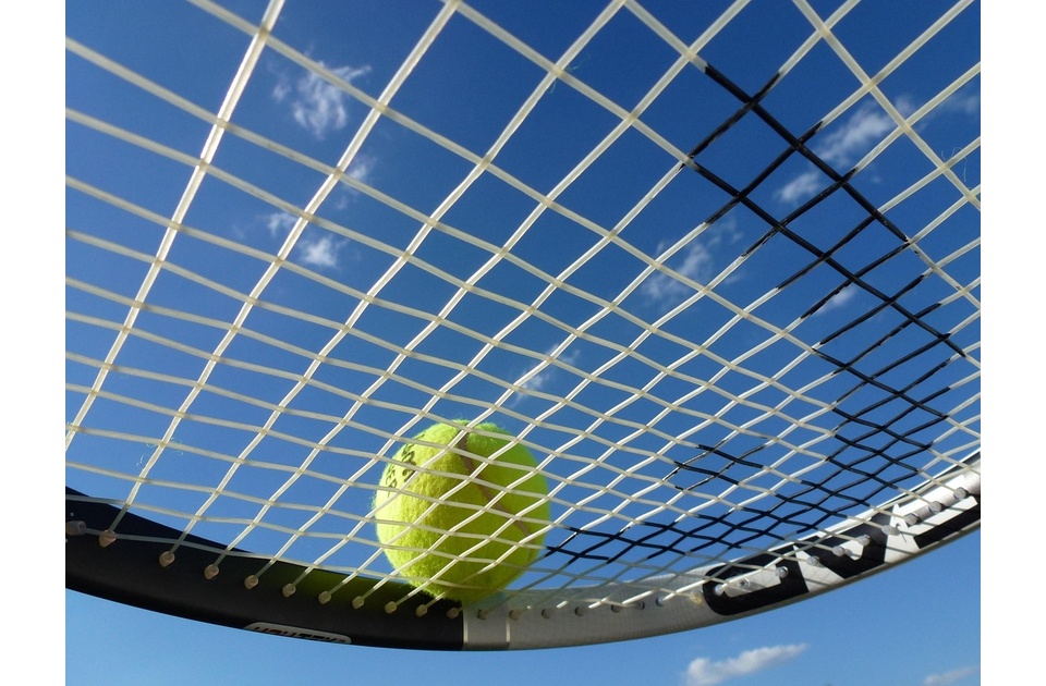 Polufinale Rolan Garosa: Đoković protiv Sinera Polufinale Rolan Garosa: Đoković protiv Sinera