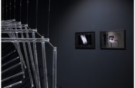Izložba “S one strane ogledala” arhitektinje Odil Dek u Galeriji DOTS – Stručno vođenje