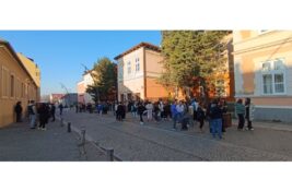 PANČEVO: Gimnazijalci započeli blokadu škole u znak podrške Dijani Hrki