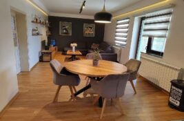 FOTO: Kuće za izdavanje u Novom Sadu – ponude za porodice i radnike