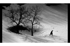 Reditelj Gregor Božič u fokusu dvanaeste revije Dani slovenačkog filma