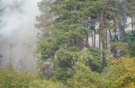 Situacija u Deliblatskoj peščari mirnija, radne mašine sprečavaju širenje požara