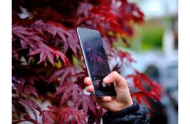 Samsung Galaxy S26 FE pred premijerom – šta se očekuje od novog Fan Edition modela