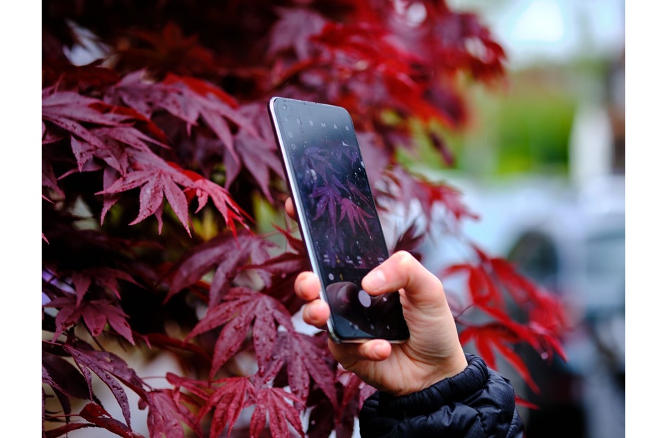 Samsung Galaxy S26 FE pred premijerom – šta se očekuje od novog Fan Edition modela
